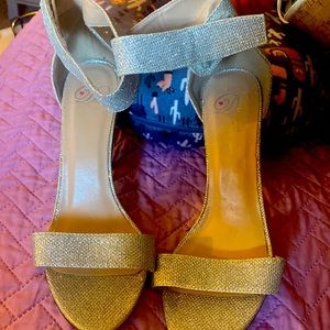 Used Lady’s glitter sandals